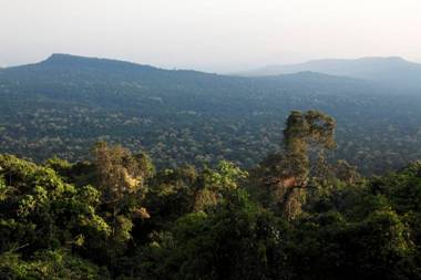 http://www.rainforestinfo.org.au/cambodia/index_files/image002.jpg