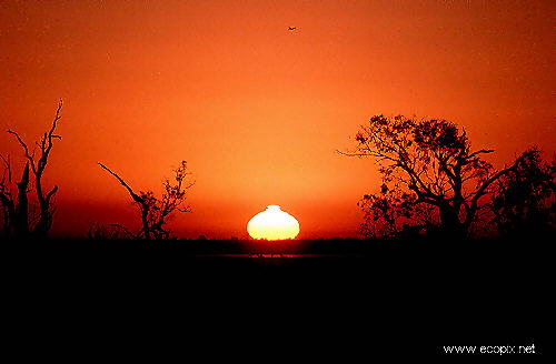 Sun rises over the waters of Lake Cowal - the dawning of another day across this timeless and priceless jewel of nature.