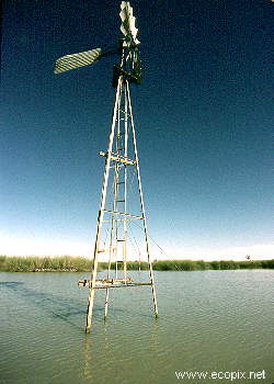 Windmill in water shows the ephemeral nature of Lake Cowal, the wet and dry phases of which are both of ecological importance to the functioning of its ecosystem, and to agriculture and fisheries.