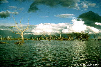 Stormclouds over a flooded Lake Cowal.