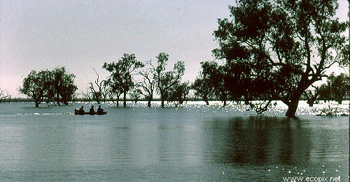 Thousands of visitors have enjoyed Lake Cowal over the years.