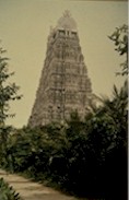  Plantings inside temple