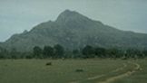 The Sacred Mountain Arunachala