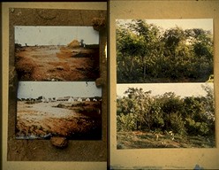 ARS model permaculture farm, before and after
