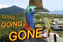 Save the Cassowary